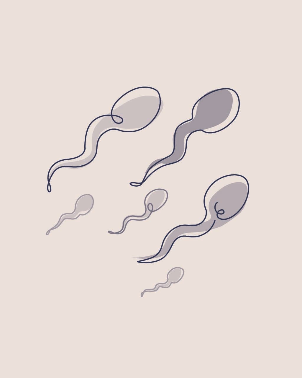 Illustration spermier beige/blå